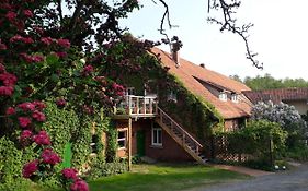 Schwalbennest